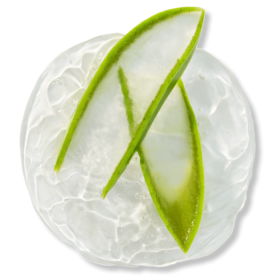 Aloe Extract